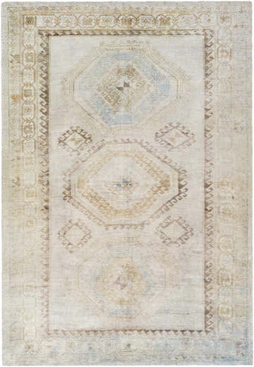 Close-up of the hand-tufted Tarun Area Rug. Beige, ivory, and sandstone tones with geometric, traditional patterns. Design-Rectangle-576