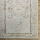 Close up of the hand-tufted Tarun Area Rug. Beige, ivory, and sandstone colors with traditional, geometric patterns. Swatch