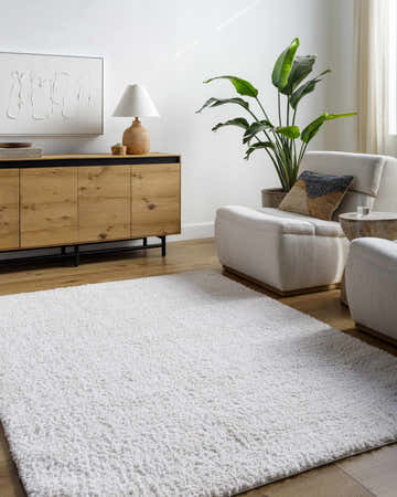 Living room scene with a white Troya Area Rug, light wood floors, and modern furniture. Roomscene-Rectangle