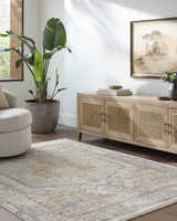Living room scene with beige swivel chair and Vaeda Blue & Beige rug. Farmhouse style with light wood cabinet and large plant. Roomscene-Rectangle