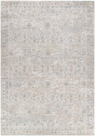 Close-up of the Avalyn Area Rug. Machine-woven polyester rug in cream, sage, slate, and tan with a traditional pattern. Design-Rectangle-6796
