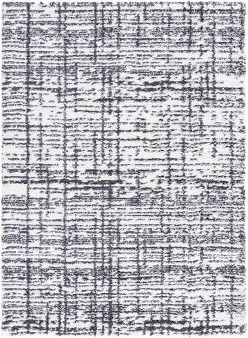 Close-up of the Anisha Black Area Rug showing a contemporary shag design with black and white textured pattern. Design-Rectangle-537