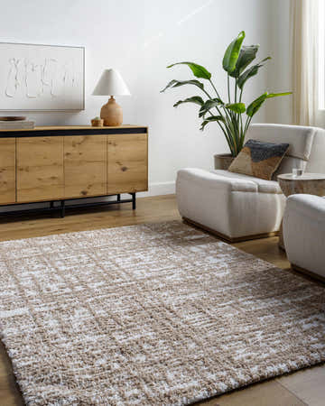 Living room scene with a tan and white Anisha Brown Area Rug, light wood floors, and modern furniture. Roomscene-Rectangle