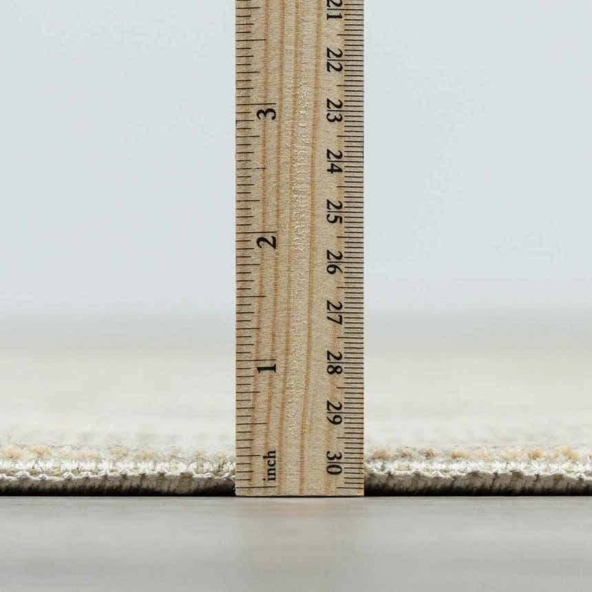 Close-up of Fetscher II Vintage Medallion Area Rug pile height, showing beige and light brown tones with a ruler. Pile