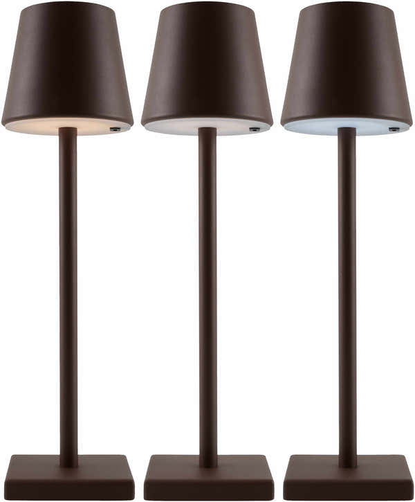 Veshnyaki Outdoor Table Lamp