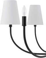 Vishnyovka Black Chandelier