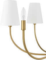 Vishnyovka Metallic - Brass Chandelier