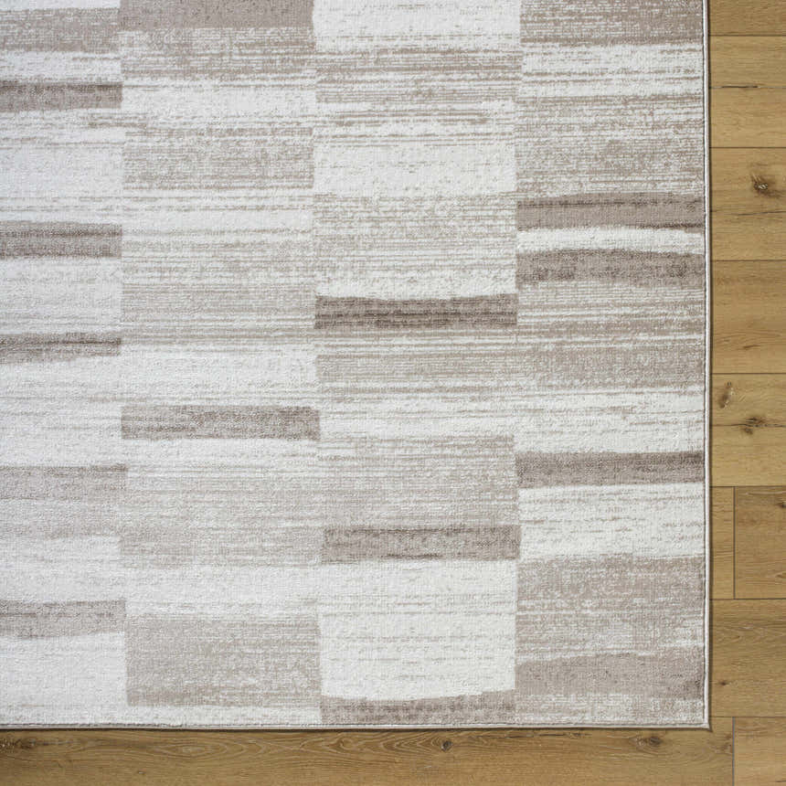 Close-up of the Vasso Beige Area Rug showing its contemporary light silver and gray block pattern and woven texture. Swatch