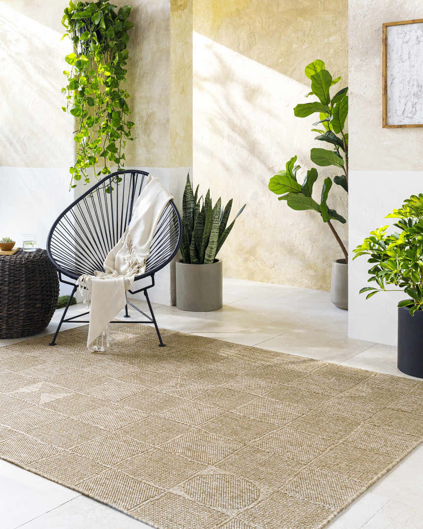 Neutral sunroom with a Veras Beige Area Rug, black Acapulco chair, and potted plants. Roomscene-Rectangle