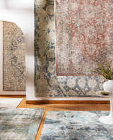 Tannersville Area Rugs displayed in a room scene, showcasing beige, teal, and sage colors and contemporary style. Styleshot