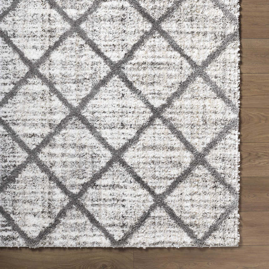 Close up of the Anuhea Off White area rug showing geometric diamond pattern and plush texture. Corner