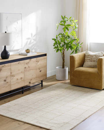 Living room scene with beige Adalyn Area Rug, wood cabinet, tan chair, and plant. Bright, modern style. Roomscene-Rectangle