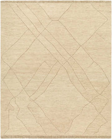 Close-up of the hand-tufted Addien Area Rug. 100% wool rug with a geometric line pattern in neutral beige tones. Design-Rectangle-810