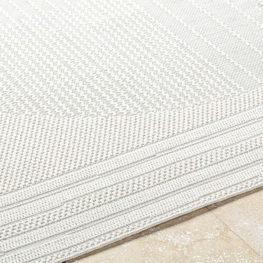Close-up of the Yuley White Area Rug showing its light silver woven texture and traditional border design. Texture