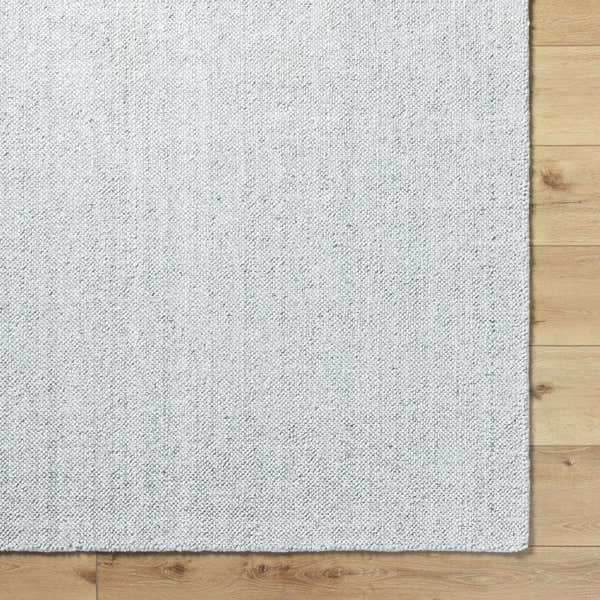 Sample Zareh Gray Blue Solid Area Rug - Clearance