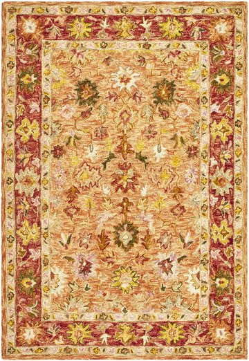 Close-up of the Alusia Area Rug, a hand-tufted wool rug with a traditional floral pattern in shades of orange, red, yellow, and green. Design-Rectangle-576