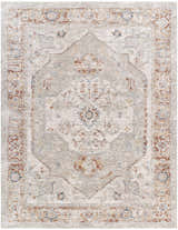 Close-up of the Armoni Area Rug, showcasing its traditional beige, cream, and blue floral medallion pattern. Design-Rectangle-710102