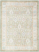 Close-up of Royoi Sage Persian rug. Machine woven polypropylene rug with beige, cream, and sage traditional design. Design-Rectangle-537