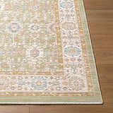 Close-up of Royoi Sage Persian rug showing beige, cream, sage, and light brown traditional pattern and texture. Front