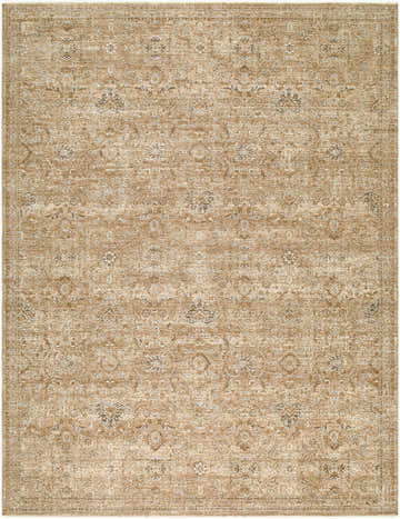Close-up of Penny Machine Woven Becki Owens x LIVABLISS rug. Tan rug with traditional, intricate floral pattern in ivory and off-white. Design-Rectangle-679