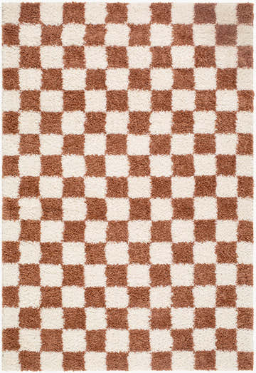 Close-up of the Qasabestan Area Rug, a contemporary style rug with a brown and cream checkerboard pattern. Design-Rectangle-537