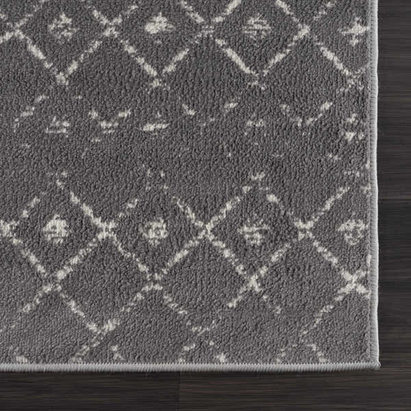 Sample Tigrican Charcoal 2329 Area Rug - Clearance