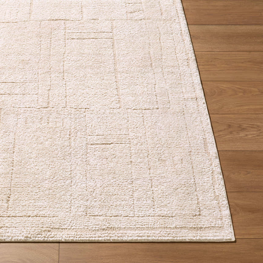 Close-up of Alma Machine Woven EDAL-2301 rug in ivory and taupe on wood floor. Contemporary style, rectangle shape. Front