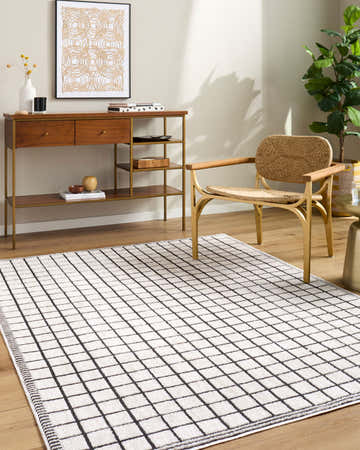 Living room with a Civie Cream Geometric area rug, wood console table, woven chair, and wood floors. Roomscene-Rectangle