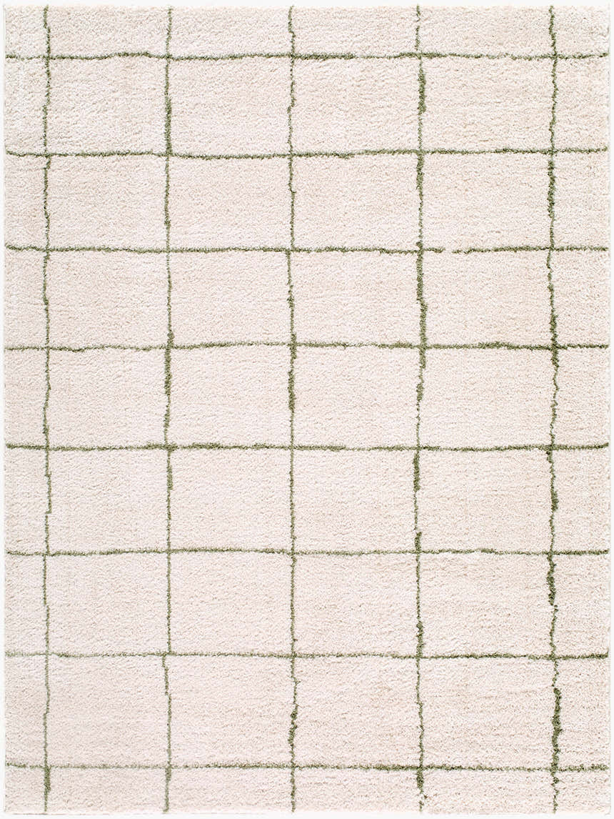 Close-up of Rivoli Machine Woven Elle Decor x LIVABLISS EDRV-2301 Area Rug. Cream rug with an olive green grid pattern. Design-Rectangle-537