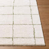 Close-up of Rivoli Elle Decor x LIVABLISS EDRV-2301 Area Rug. Cream rug with olive green grid pattern and soft texture. Front