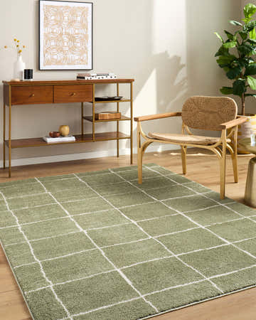 Living room scene with Rivoli Elle Decor x LIVABLISS EDRV-2302 rug in olive and cream, wood console table, and woven chair. Roomscene-Rectangle
