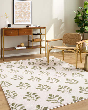 Living room scene with a cream and olive Kapula Area Rug, wood console table, and woven chair. Roomscene-Rectangle