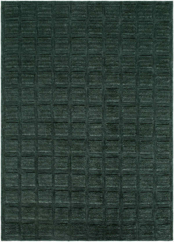 Sample Janina Washable Area Rug