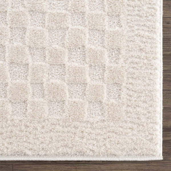 Sample Leryn Ivory Checkered Area Rug