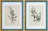 Beige Rustic Framed Wall Art for modern gallery walls