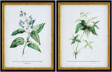 Soft Lime Green Rustic Framed Wall Art for modern gallery walls