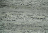 Modern Beige and Charcoal Solid Shaded Hand Tufted Natural Wool Area Rug
