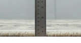 Custom Made Natural Wool Hand Knotted Ivory, Beige and Charcoal Traditional Area Rug, Kids, Living Room and Bedroom Rug