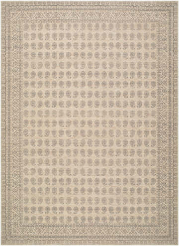 Close-up of Alo Machine Woven Nabela Noor Home x LIVABLISS NBAL-2301 Area Rug. Beige with gray paisley pattern and traditional border. Design-Rectangle-679