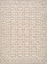 Close-up of the Aram Machine Woven Nabela Noor Home x LIVABLISS NBAR-2300 Area Rug. Beige and tan traditional pattern. Design-Rectangle-527