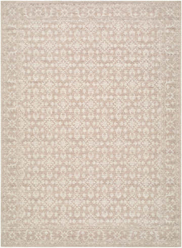 Close-up of the Aram Machine Woven Nabela Noor Home x LIVABLISS NBAR-2300 Area Rug. Beige and tan traditional pattern. Design-Rectangle-527