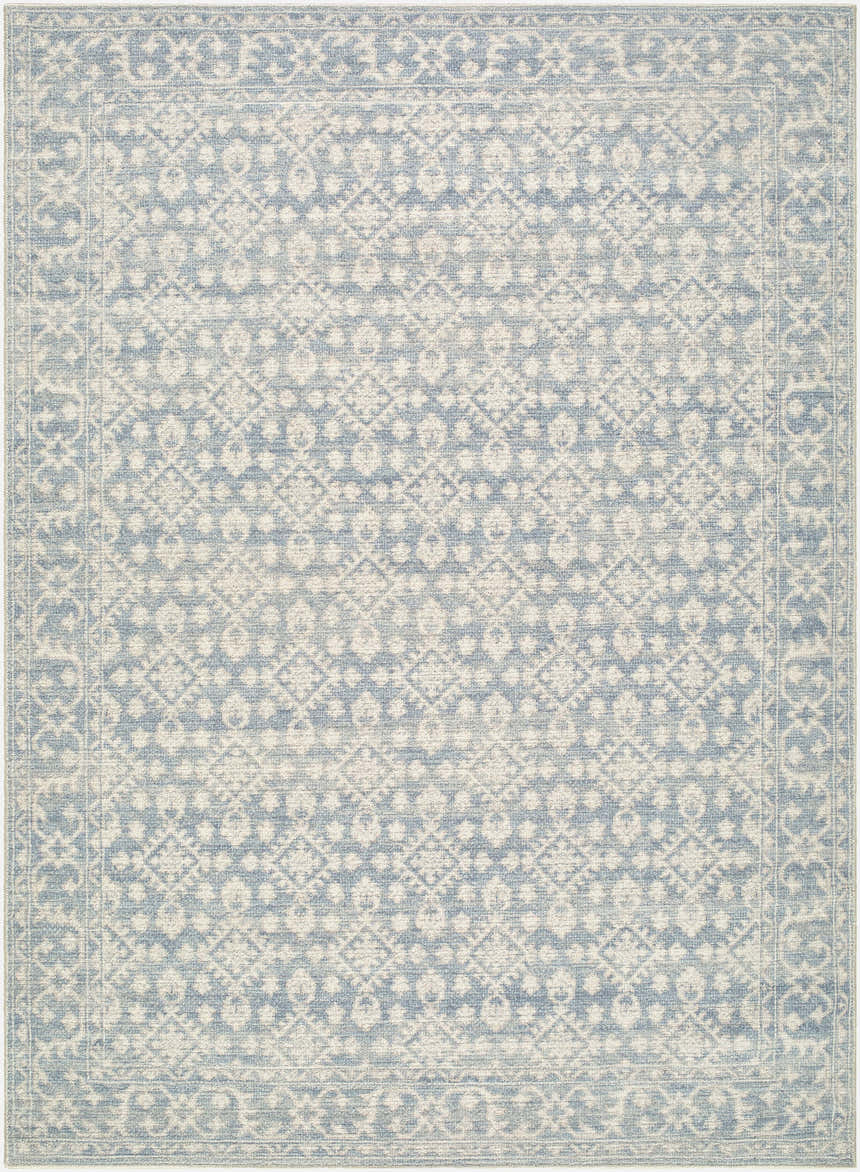 Close-up of Aram Nabela Noor Home x LIVABLISS NBAR-2302 Area Rug. Beige, denim, and pale blue traditional pattern. Design-Rectangle-527