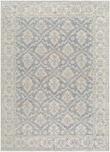 Close-up of the Aram Machine Woven Nabela Noor Home x LIVABLISS NBAR-2305 Area Rug, featuring a beige and pale blue traditional pattern. Design-Rectangle-527