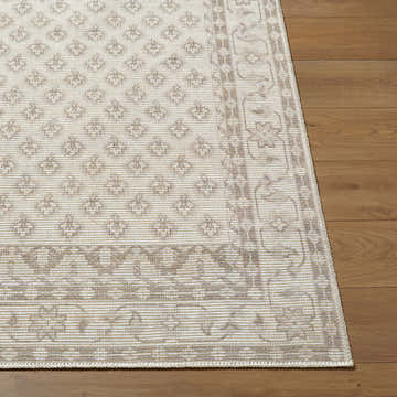 Close up of the Shanti Nabela Noor Home rug. Off-white rug with gray traditional pattern on a wood floor. Front