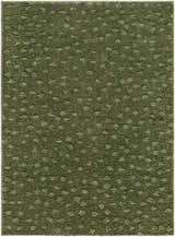Close-up of the Cansu Area Rug. Machine woven polyester rug in shades of green with a subtle dotted pattern. Design-Rectangle-537