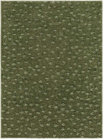 Close-up of the Cansu Area Rug. Machine woven polyester rug in shades of green with a subtle dotted pattern. Design-Rectangle-537