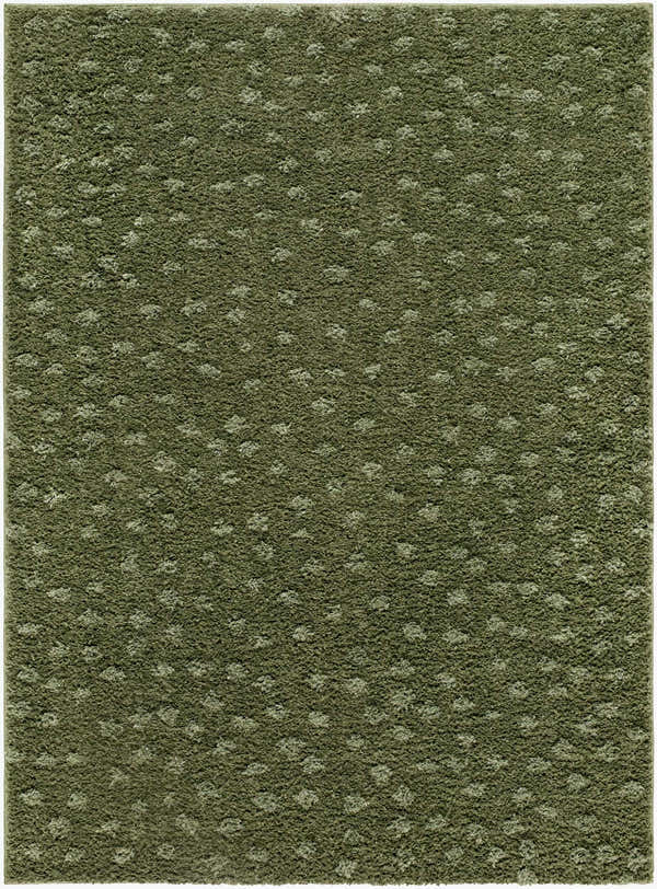 Sample Cansu Area Rug