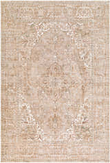 Close-up of The Vintage Edit II Rachel Zoe x LIVABLISS RZDT-2300 Rug. Beige, ivory, and olive traditional pattern. Design-Rectangle-6796