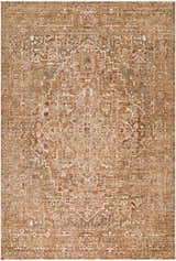 Close-up of The Vintage Edit II RZDT-2301 rug. Chestnut, ivory, sage, and sandstone colors with a traditional design. Design-Rectangle-6796