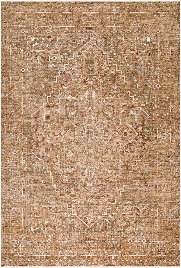 Close-up of The Vintage Edit II RZDT-2301 rug. Chestnut, ivory, sage, and sandstone colors with a traditional design. Design-Rectangle-6796